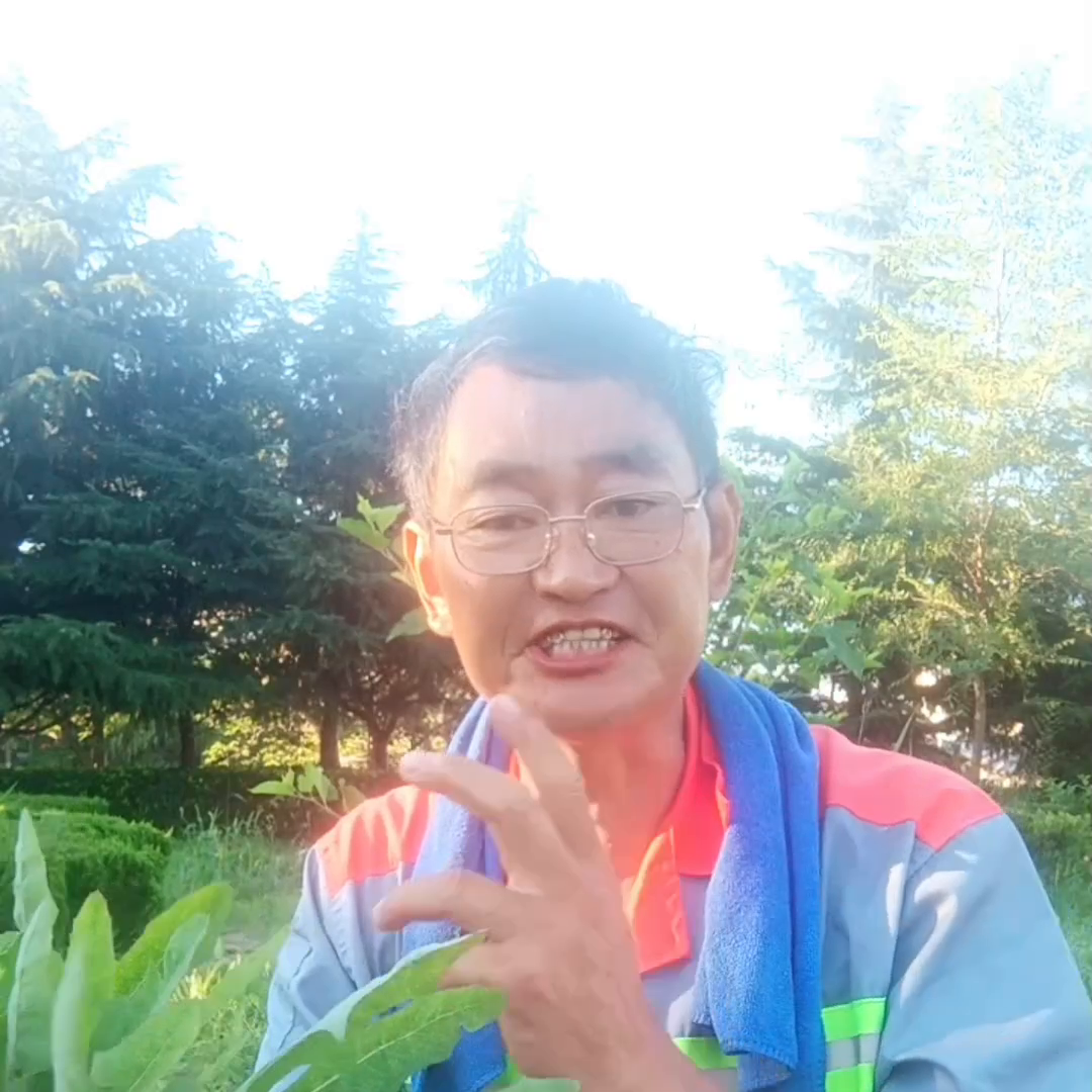 抖音教学课程（新手想做好抖音这几个课程必须要看）