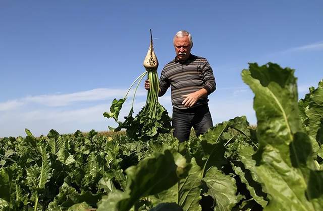 俄罗斯粮食作物以什么为主（带你了解广袤而寒冷的俄罗斯）