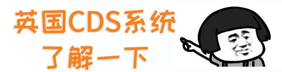 c88文件是什么意思(最新的申报流程,和过去有哪些变化)