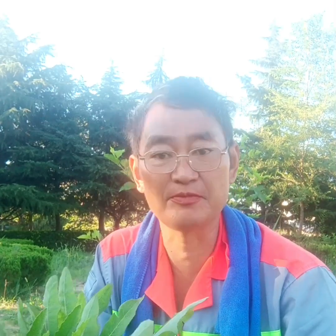 抖音教学课程（新手想做好抖音这几个课程必须要看）