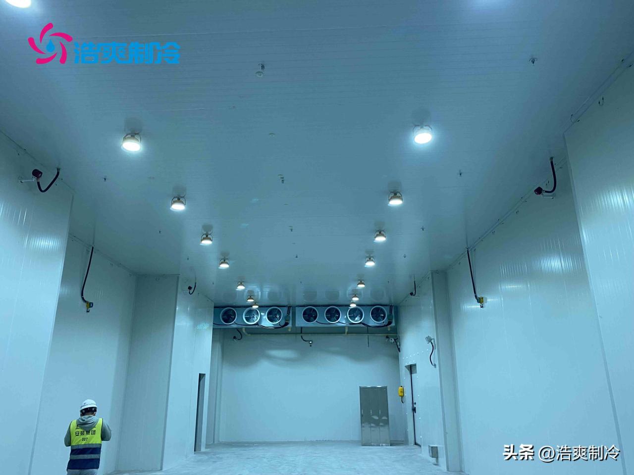 医药冷链物流运输(深度解读后补式冷库建设与管理)