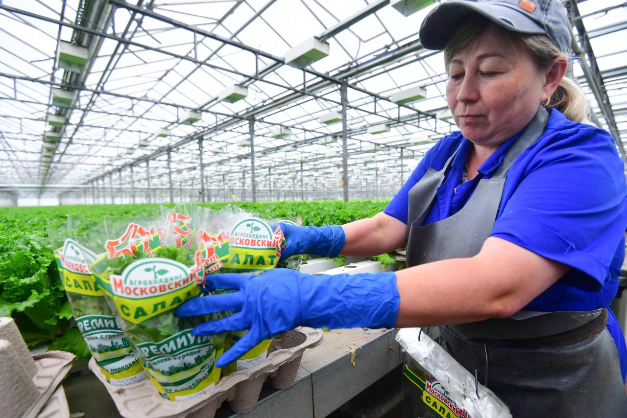 俄罗斯粮食作物以什么为主（带你了解广袤而寒冷的俄罗斯）