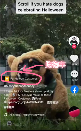 tiktok推广视频和直播的算法一样吗（3分钟带你看懂网红营销模式）