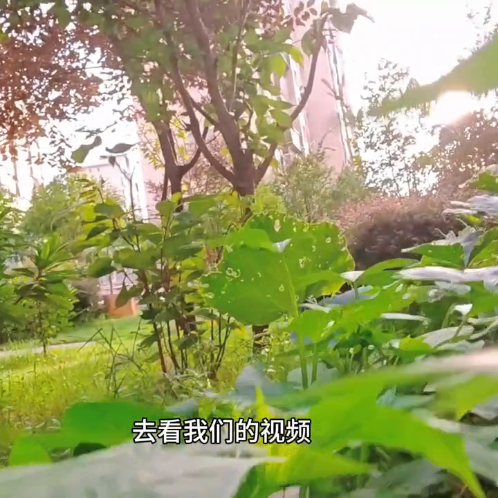 抖音热度怎么增加(简单三步让你流量大涨)