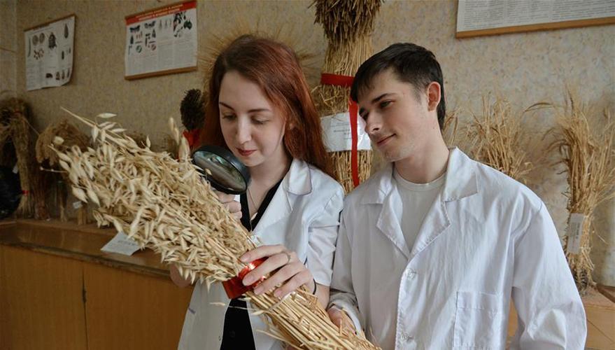 俄罗斯粮食作物以什么为主（带你了解广袤而寒冷的俄罗斯）