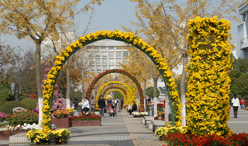 恶意行为投诉中心有用吗(受到恶意行为看这篇就够了)