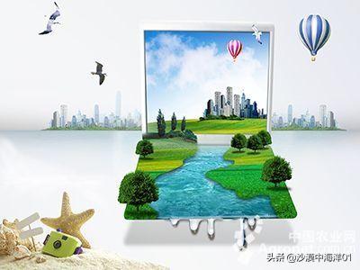 淘宝c店是什么意思啊(一文带你搞懂淘宝各类型店铺区别)