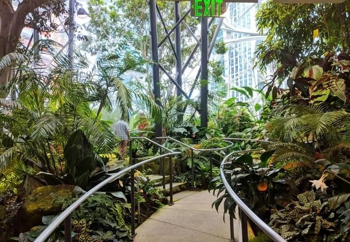 亚马逊总部在哪里（关于亚马逊总部这些你必须要知道）