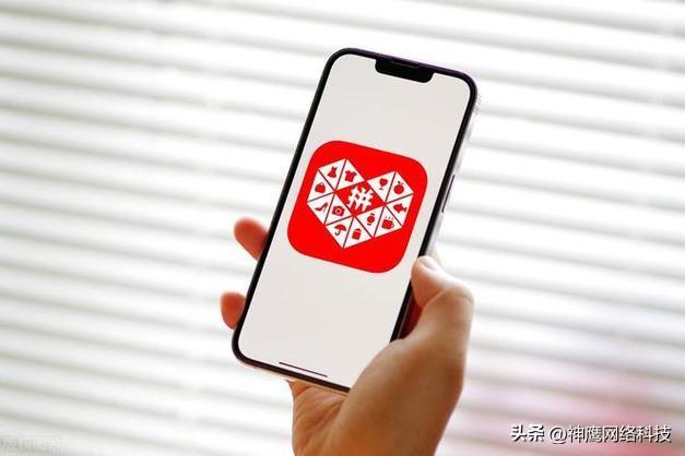 拼多多开店怎么运营起来(最全攻略包含选品到运营)