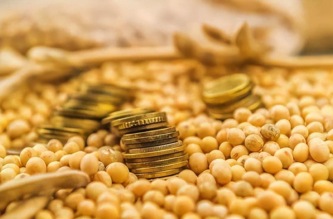 中国大豆进口比例是多少（一分钟了解中国对大豆需求）