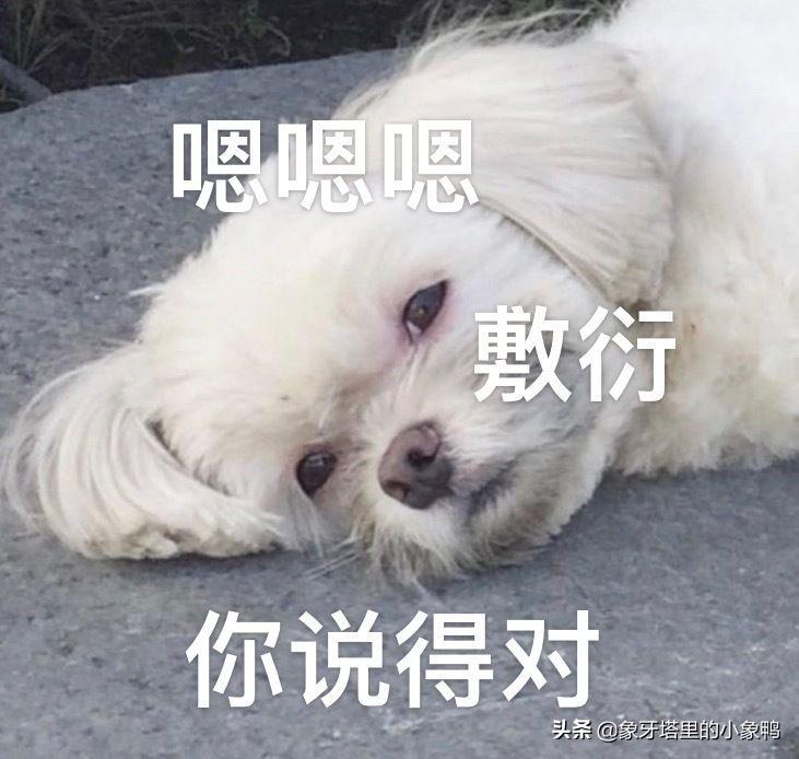 发快递怎么发最便宜（不再纠结，告诉你不同货物怎么选择）