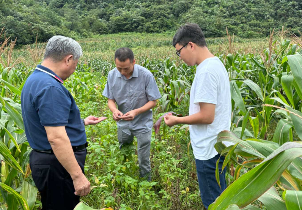 中国大豆进口比例是多少（一分钟了解中国对大豆需求）