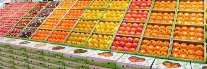 蔬菜出口贸易怎么做（重中之重，下面这点千万不能忽略）