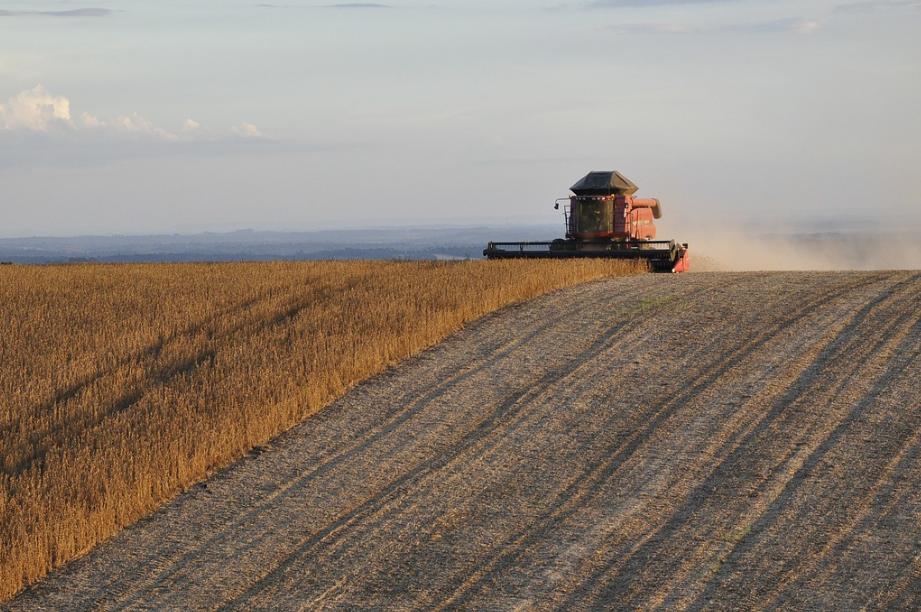 中国大豆进口比例是多少（一分钟了解中国对大豆需求）