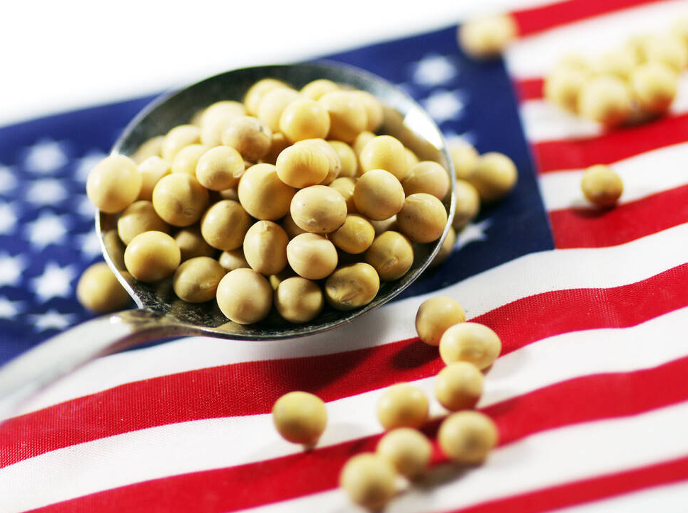 中国大豆进口比例是多少（一分钟了解中国对大豆需求）