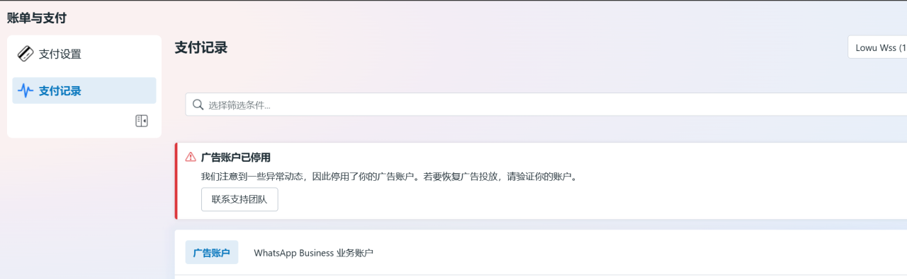 image-20241126095308460