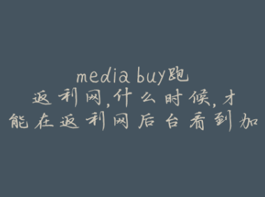 media buy跑返利网，什么时候，才能在返利网后台看到加钱