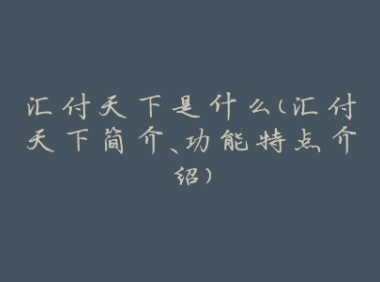 汇付天下是什么(汇付天下简介、功能特点介绍)