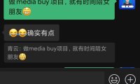 做国外广告联盟 media buy项目,就有时间陪女朋友