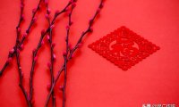 抖音认证有什么好处和坏处（是否需要认证看完这篇你就知道了）