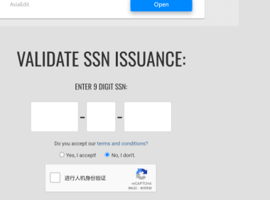 申请联盟,用美国身份,为什么一定要真实的 SSN